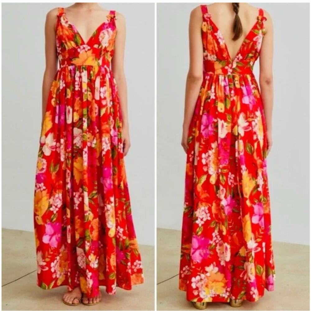 Ronny‎ Kobo Floral Sallee Dress in Pinawa Large New